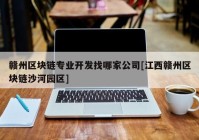 赣州区块链专业开发找哪家公司[江西赣州区块链沙河园区]