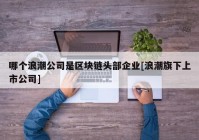 哪个浪潮公司是区块链头部企业[浪潮旗下上市公司]